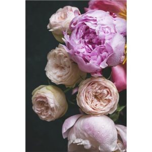 Papier découpage - New Moody Florals II_quincaillerie_ Mint by Michelle_chalk paint_annie sloan_aube design