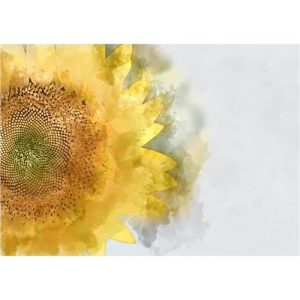 Papier découpage - Sunflower_quincaillerie_ Mint by Michelle_chalk paint_annie sloan_aube design