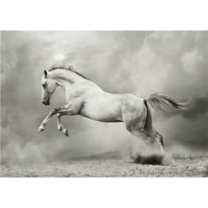 Papier découpage - White Horse_quincaillerie_ Mint by Michelle_chalk paint_annie sloan_aube design