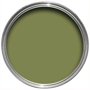 Sap Green No.W56_colour by nature collection_Farrow-ball_aube design