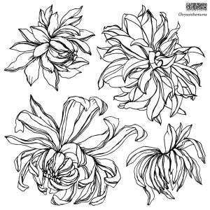 Chrysanthemum - étampe_ IOD_chalk paint_annie sloan_aube design
